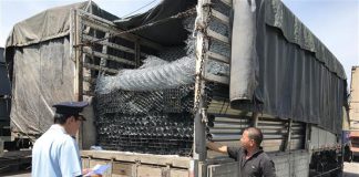 Phát hiện doanh nghiệp khai khống hàng xuất khẩu
